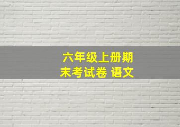 六年级上册期末考试卷 语文